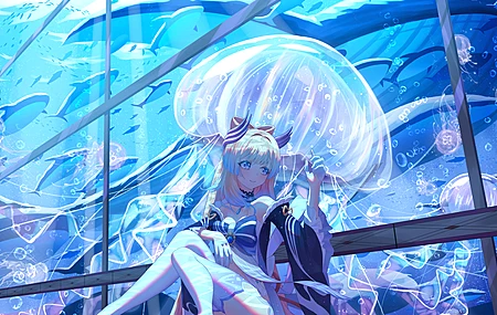  双色调头发 水母 动物 鱼 水 泡泡 鲸鱼 