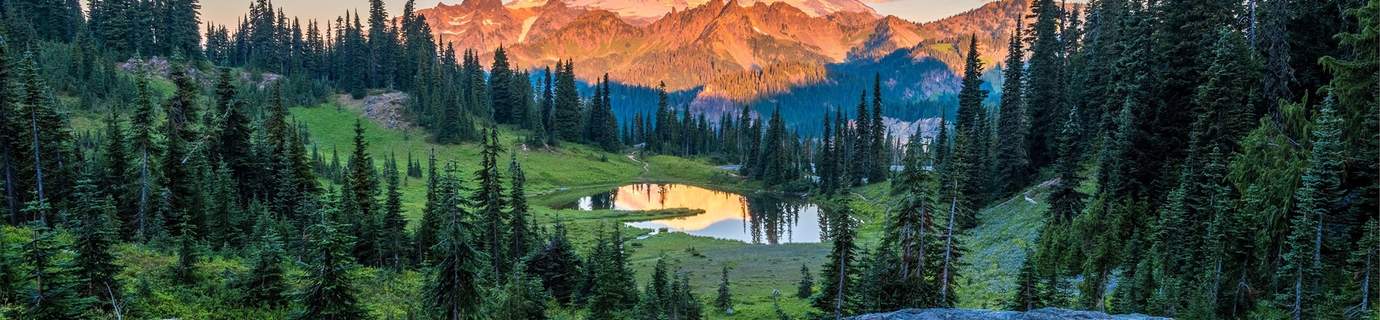 11562+份高清 4K / 8K 壁纸图片提供免费下载！