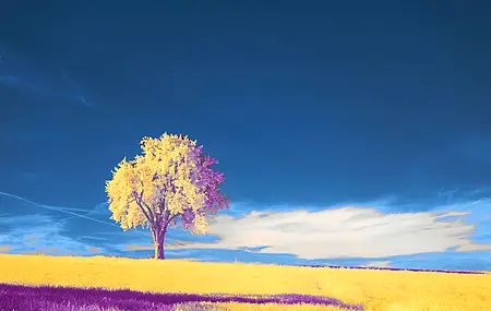 自然 风景 绘画 云 天空 树木  电脑壁纸 4K壁纸