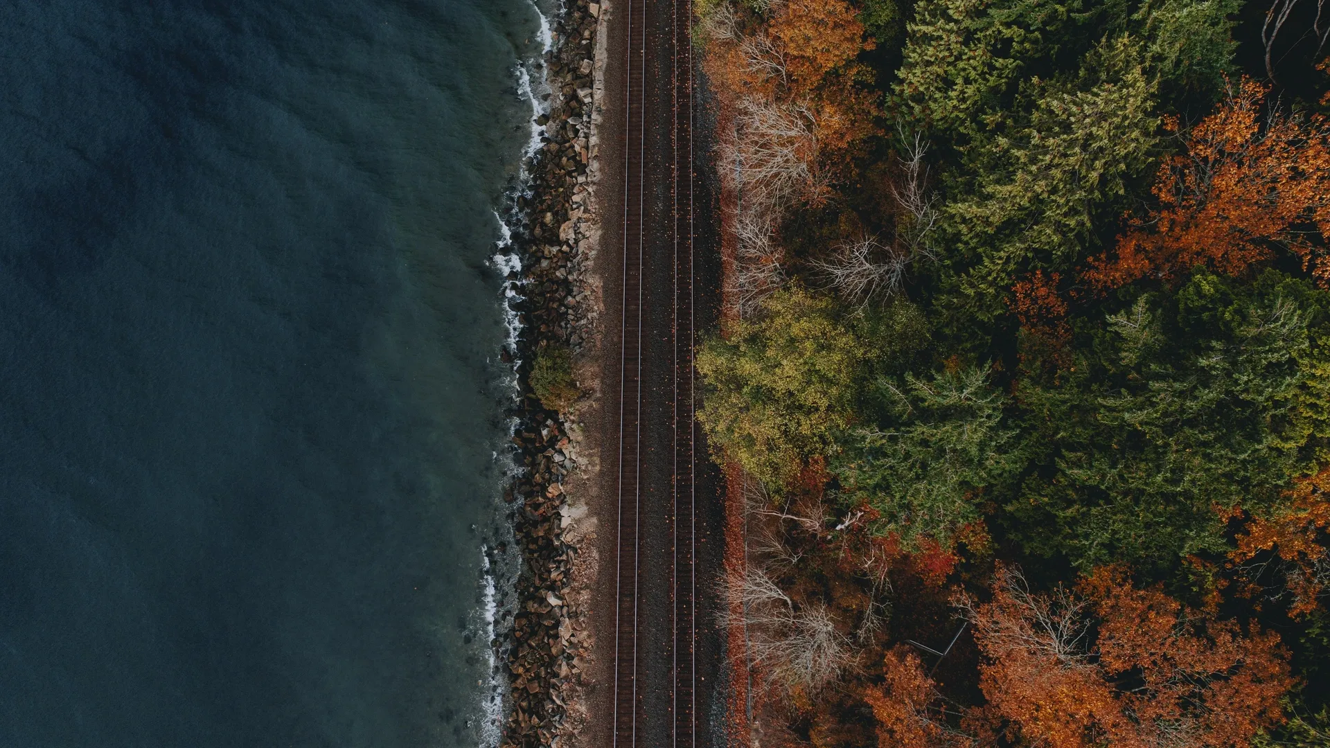 铁路 自然 海景 树木 石头 鸟瞰  电脑壁纸 4K壁纸
