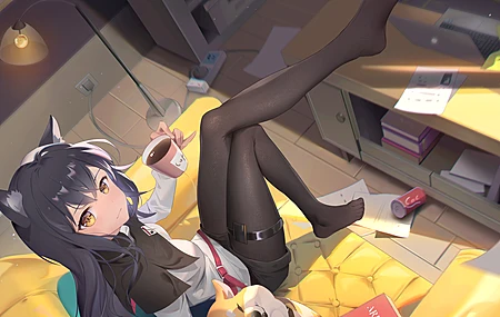 索姆纳 动漫女孩 骑士 兽耳 茶 骑士 连裤袜 狼女孩  电脑壁纸 4K壁纸