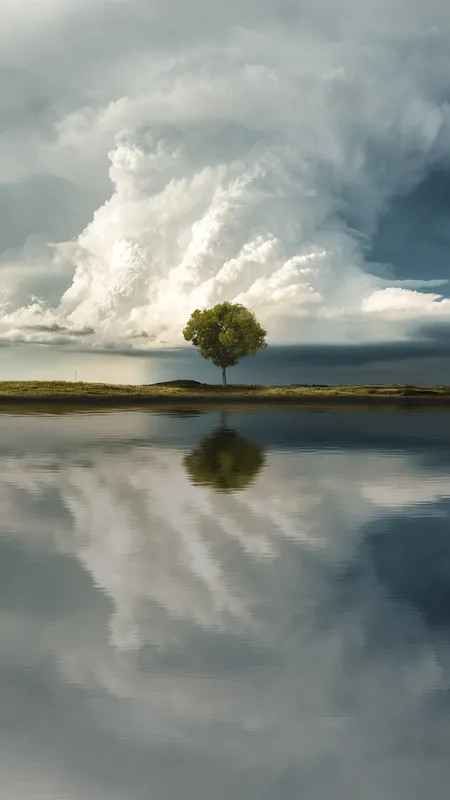 积云 蒙大拿州 北美 手机壁纸 4K壁纸