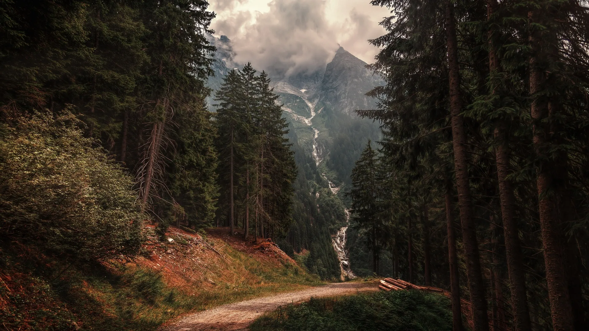 自然 户外 树木 山脉 森林  电脑壁纸 4K壁纸