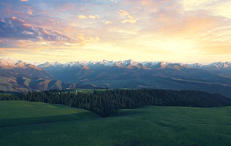 云 户外 日出 景色 草地 森林 自然  电脑壁纸 4K壁纸