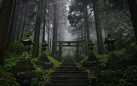 森林 寺庙 热带森林 亚洲 黑暗 薄雾  电脑壁纸 4K壁纸