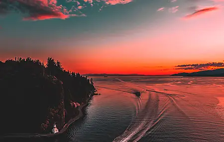 风景 自然 森林 树木 天空 加拿大温哥华 日落 船  手机壁纸 4K壁纸