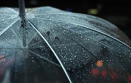 黑 夜 雨 波克 雨伞 电脑壁纸 4K壁纸