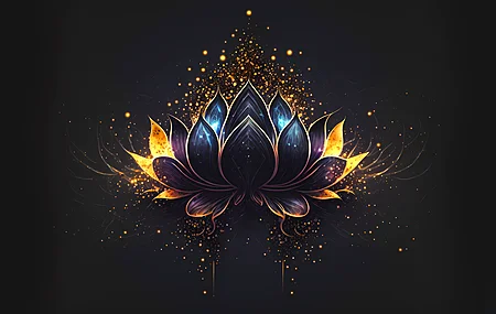 莲花 花 艺术 简单背景 电脑壁纸 8K壁纸