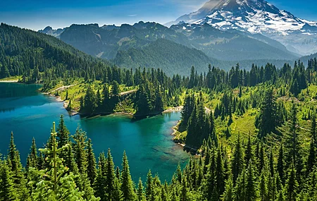 自然 尤尼斯湖 森林 山脉 湖泊 风景 树木 水 雪峰 华盛顿州  电脑壁纸 4K壁纸