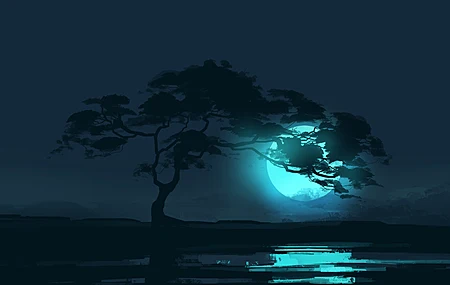  树木 风景 夜晚 月亮 月光 反射 极简主义 空间 稀树草原  电脑壁纸 4K壁纸