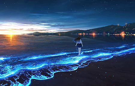 日落 海滩 海水 海洋 生物发光  电脑壁纸 4K壁纸
