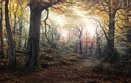 自然 风景 树木 森林 树叶 秋天 绘画 电脑壁纸 4K壁纸