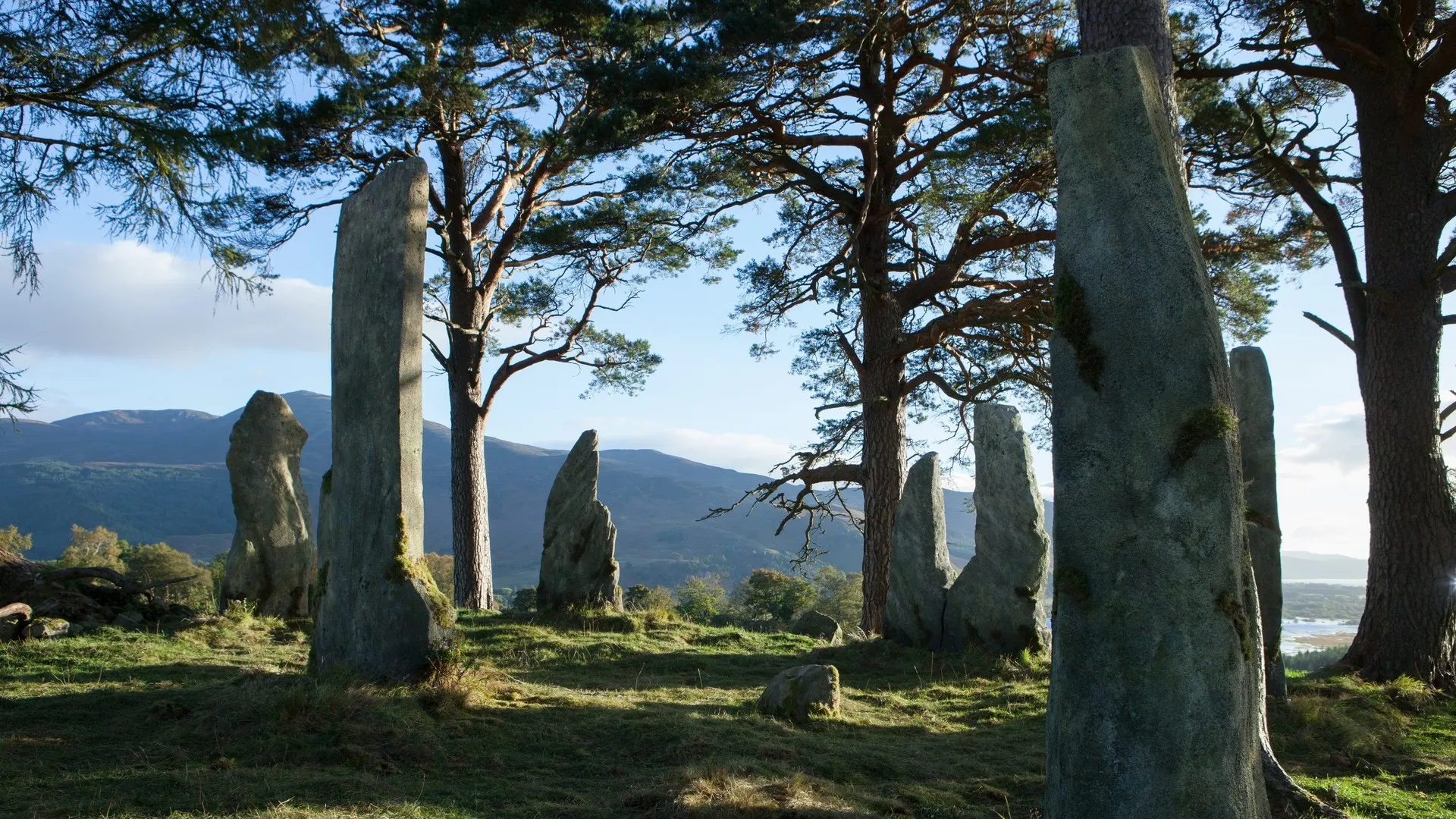 石头 自然 风景 树木 岩石 外乡人 电脑壁纸 4K壁纸