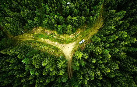 无人机 风景 自然 鸟瞰 森林 绿色 电脑壁纸 4K壁纸