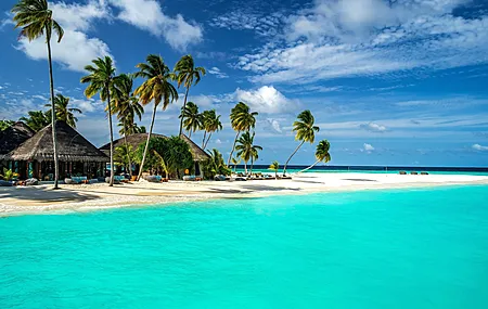 风景 海洋 棕榈树 热带 云 天空 电脑壁纸 4K壁纸