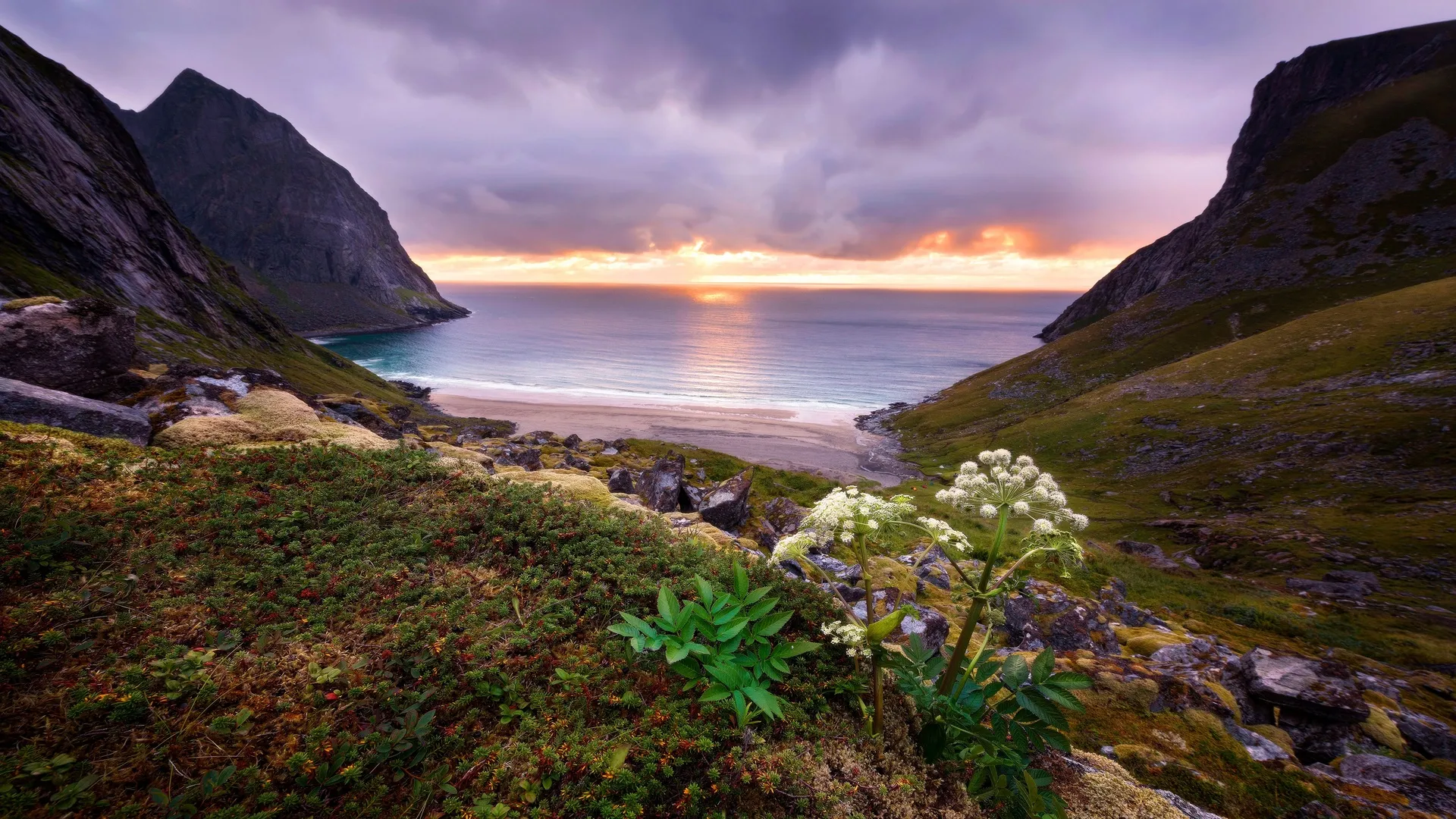 自然 植物 天空 太阳 电脑壁纸 4K壁纸
