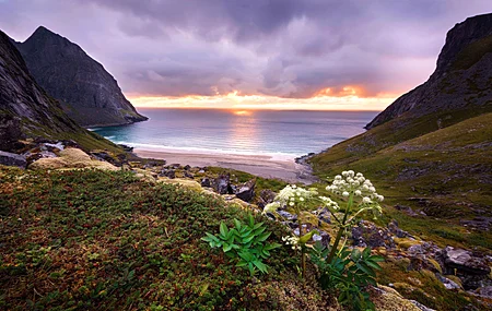 自然 植物 天空 太阳 电脑壁纸 4K壁纸
