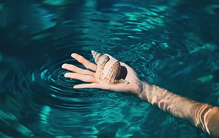 手 手指 摄影 水 贝壳 电脑壁纸 4K壁纸