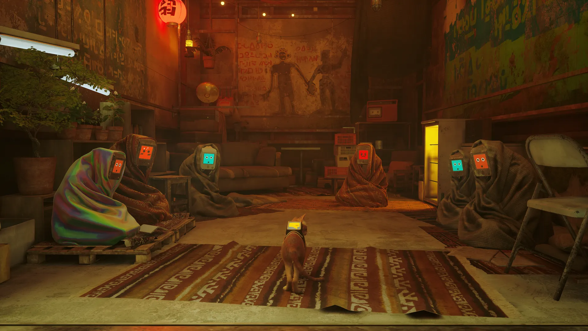 流浪 猫 电脑壁纸 4K壁纸