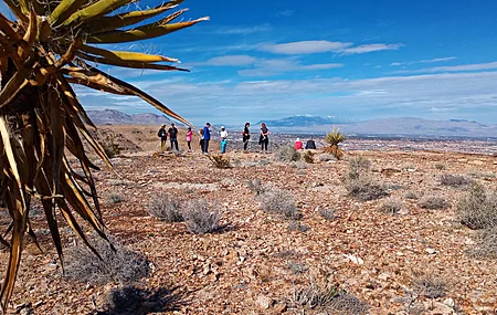 拉斯维加斯 沙漠 徒步旅行 自然 山景 山顶 电脑壁纸 4K壁纸