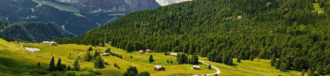 11551+份高清 4K / 8K 壁纸图片提供免费下载！