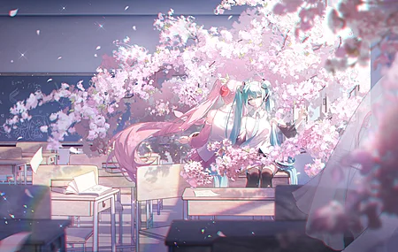动漫 动漫女孩 小提琴 樱花 花瓣 教室 双尾 电脑壁纸 4K壁纸