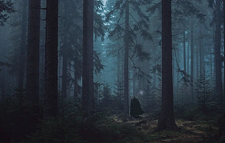 狂暴 狂暴装甲 树木 森林 黑暗 胆量 电脑壁纸 4K壁纸