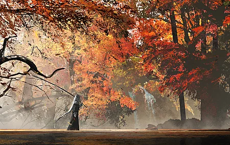 数字艺术 艺术品 森林 树木 钓竿 秋天 电脑壁纸 4K壁纸