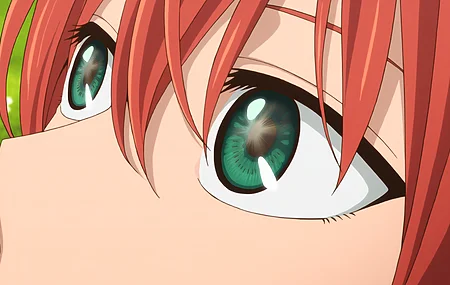 特写 电脑壁纸 4K壁纸