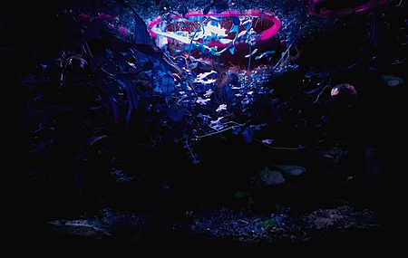 紫色背景 蓝色背景 水族馆 水 水下 植物 摄影 超宽  电脑贴纸 8 K贴纸