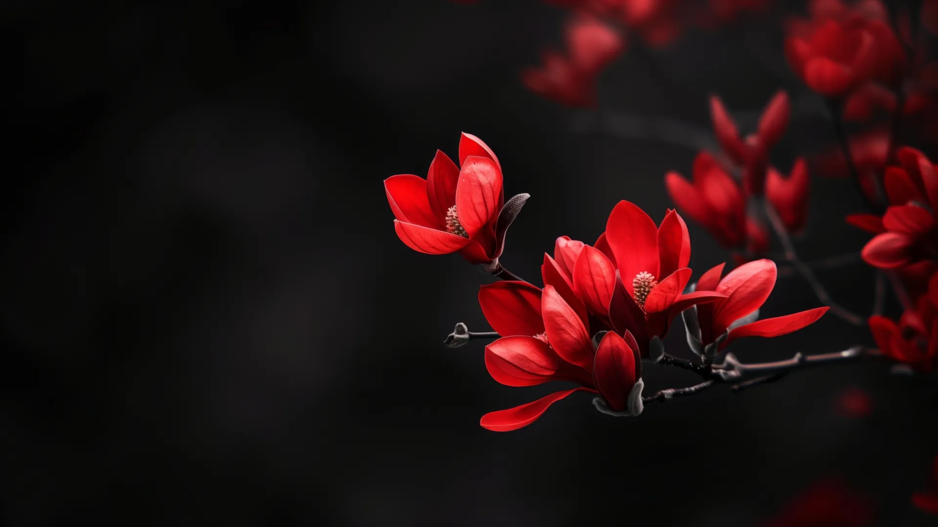 AI艺术 花 黑色 红色 景深 电脑壁纸 4K壁纸