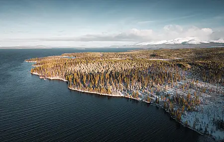 海 冬天 森林 风景 自然  电脑壁纸 4K壁纸