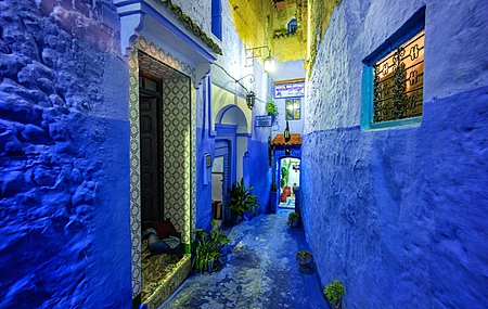 摩洛哥 城市 街道 蓝墙 非洲 植物 酒店 电脑壁纸 4K壁纸
