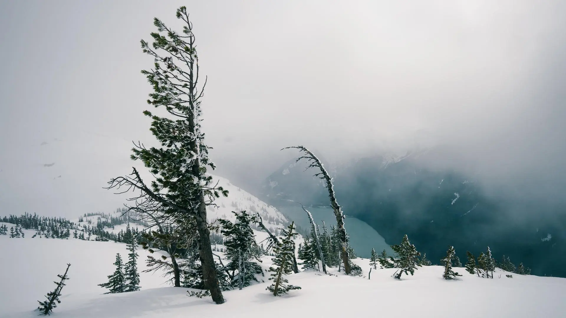 风景 自然 雪 雾 云 山景  电脑壁纸 4K壁纸