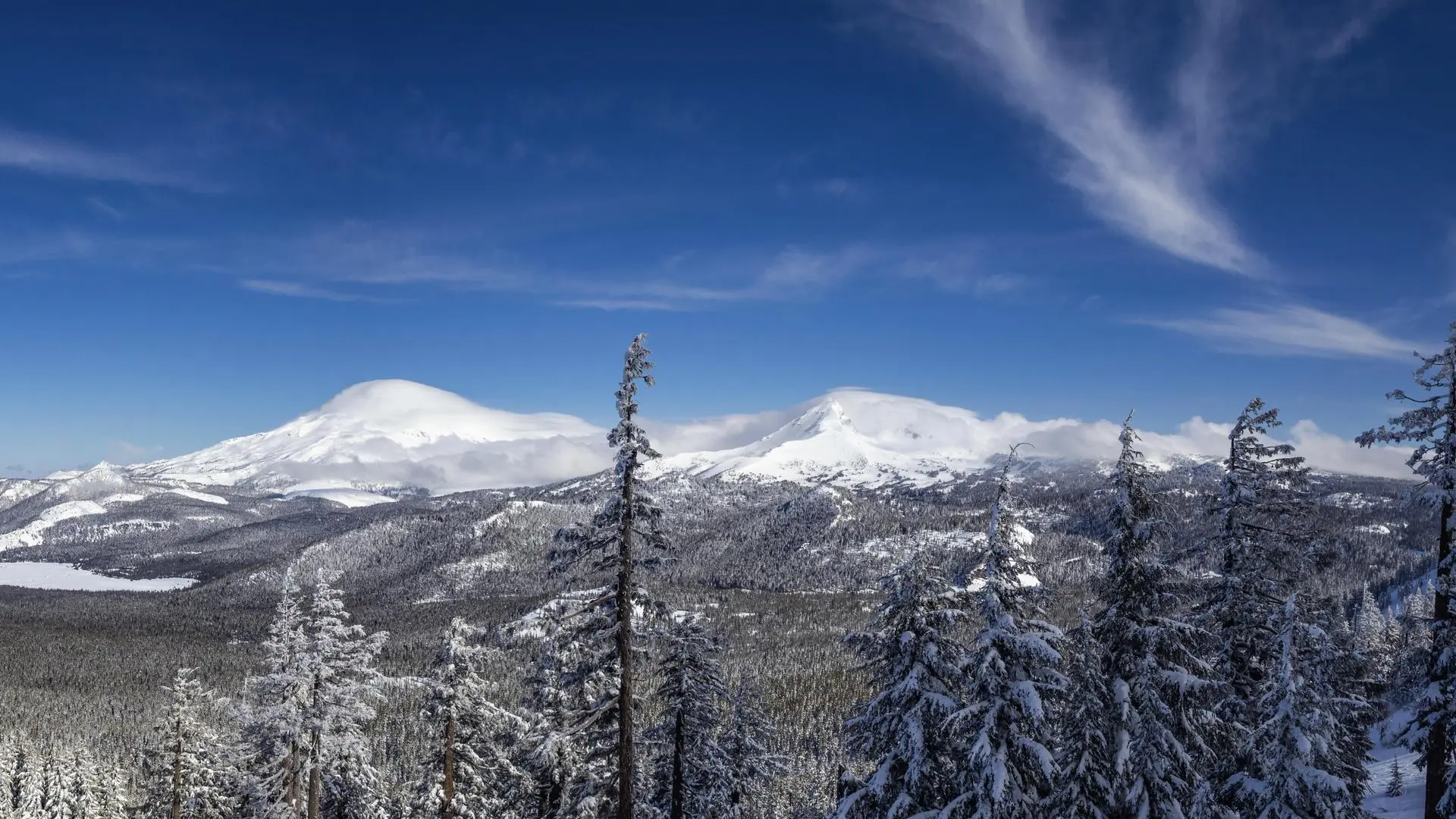 自然 景观 雪 冬季 俄勒冈州 山脉 森林 云 松树 卷云 电脑壁纸 4K壁纸