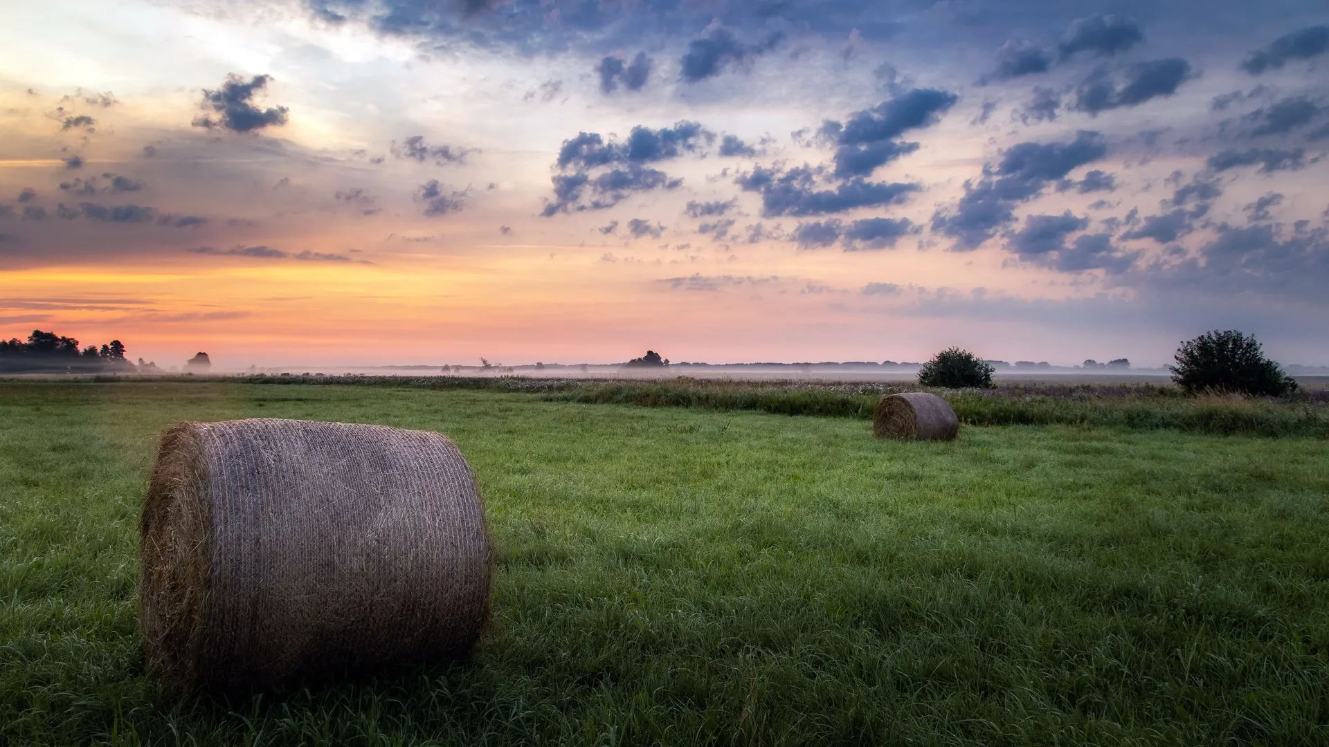 田野 植物 户外 天空 阳光 地平线 薄雾 草 自然  电脑壁纸 4K壁纸