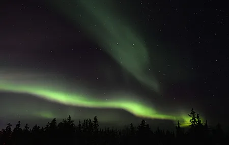 自然 风景 树木 天空 星星 极光 夜晚 绿色  电脑壁纸 4K壁纸