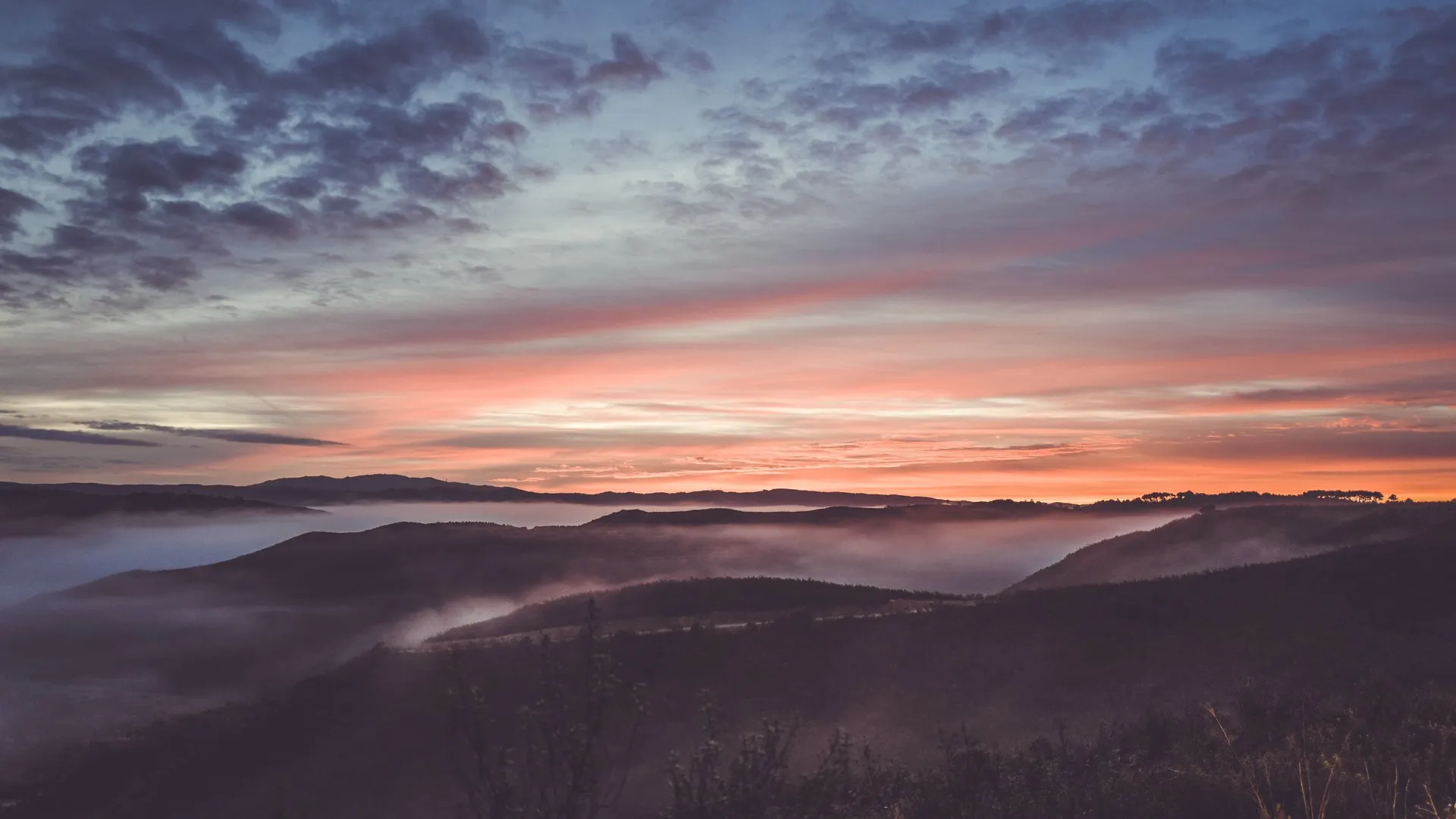 自然 水 树木 夕阳 阳光 电脑壁纸 4K壁纸