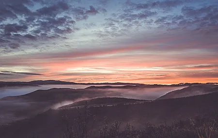 自然 水 树木 夕阳 阳光 电脑壁纸 4K壁纸