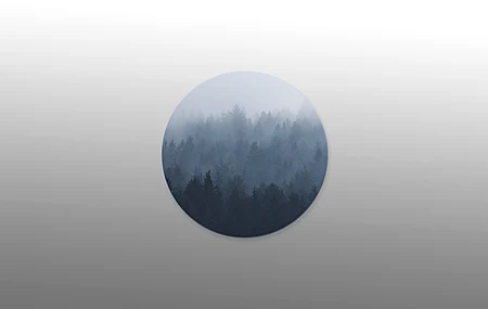 树木 深林 雾 极简主义 电脑壁纸 4K壁纸