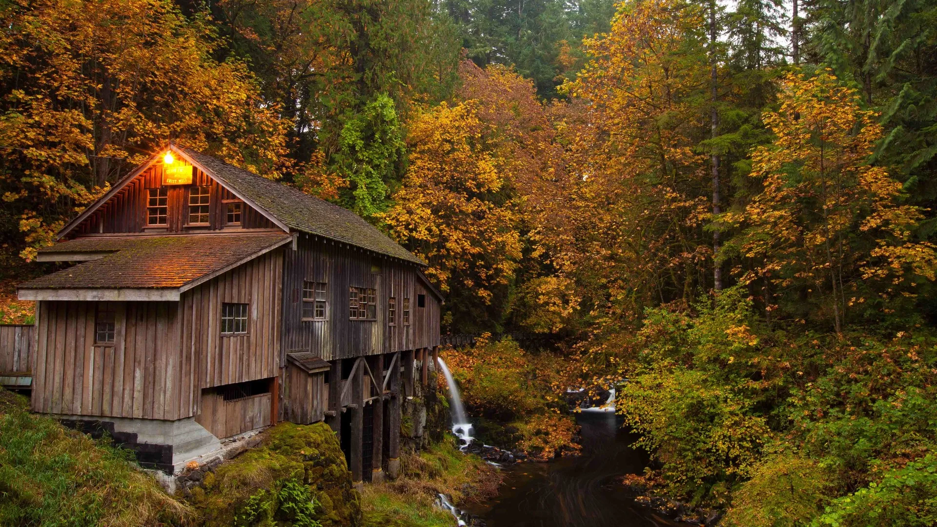 森林 秋天 小溪 树木 自然 木屋 电脑壁纸 4K壁纸