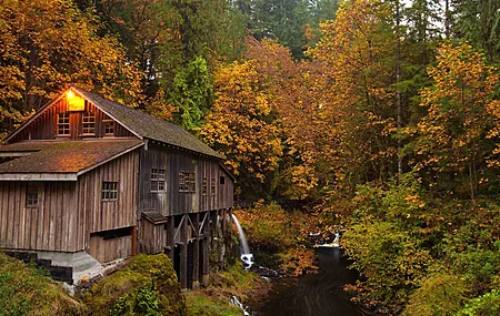 森林 秋天 小溪 树木 自然 木屋 电脑壁纸 4K壁纸