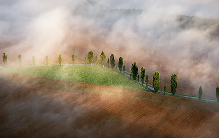 薄雾 风景 田野 户外 树木 治愈 电脑壁纸 4K壁纸