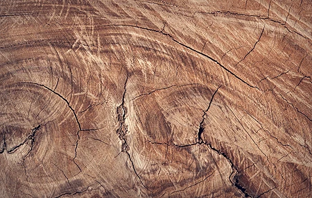 木质表面 图案 棕色 极简主义 树木 纹理 电脑壁纸 4K壁纸