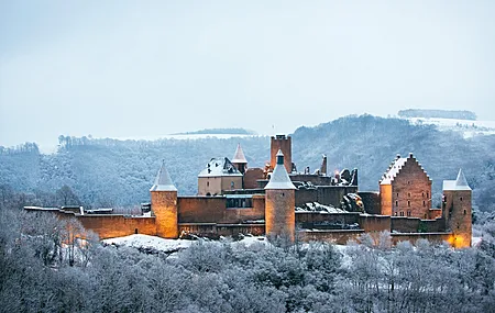 城堡 风景 冬天 树木  雪 电脑壁纸 4K壁纸