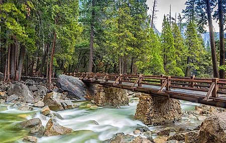 桥梁 河流 森林 岩石 自然  电脑壁纸 4K壁纸