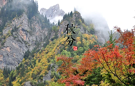 山 自然 秋天 岩石 树木  电脑壁纸 4K壁纸