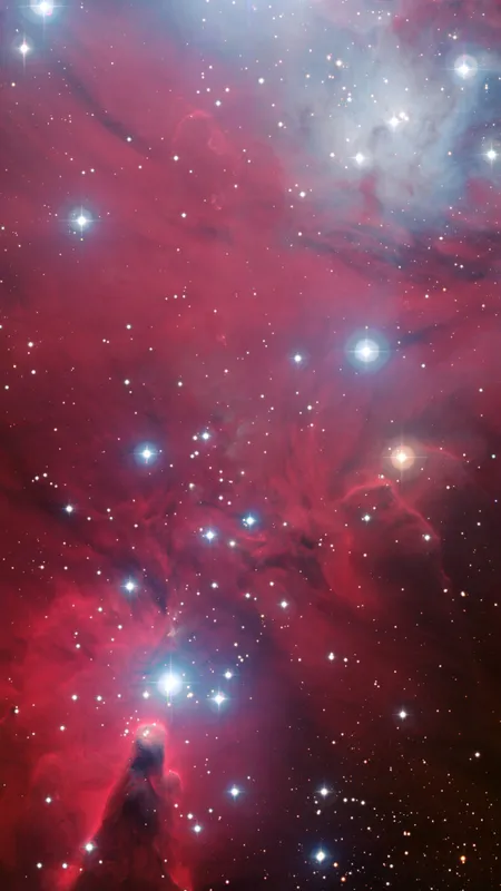 太空 伽利 恒星 宇宙 星空 手机壁纸 8K壁纸