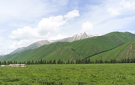 草 山 雪峰 山水 松树 公路 中国 自然 云 天空 清新 电脑壁纸 4K壁纸