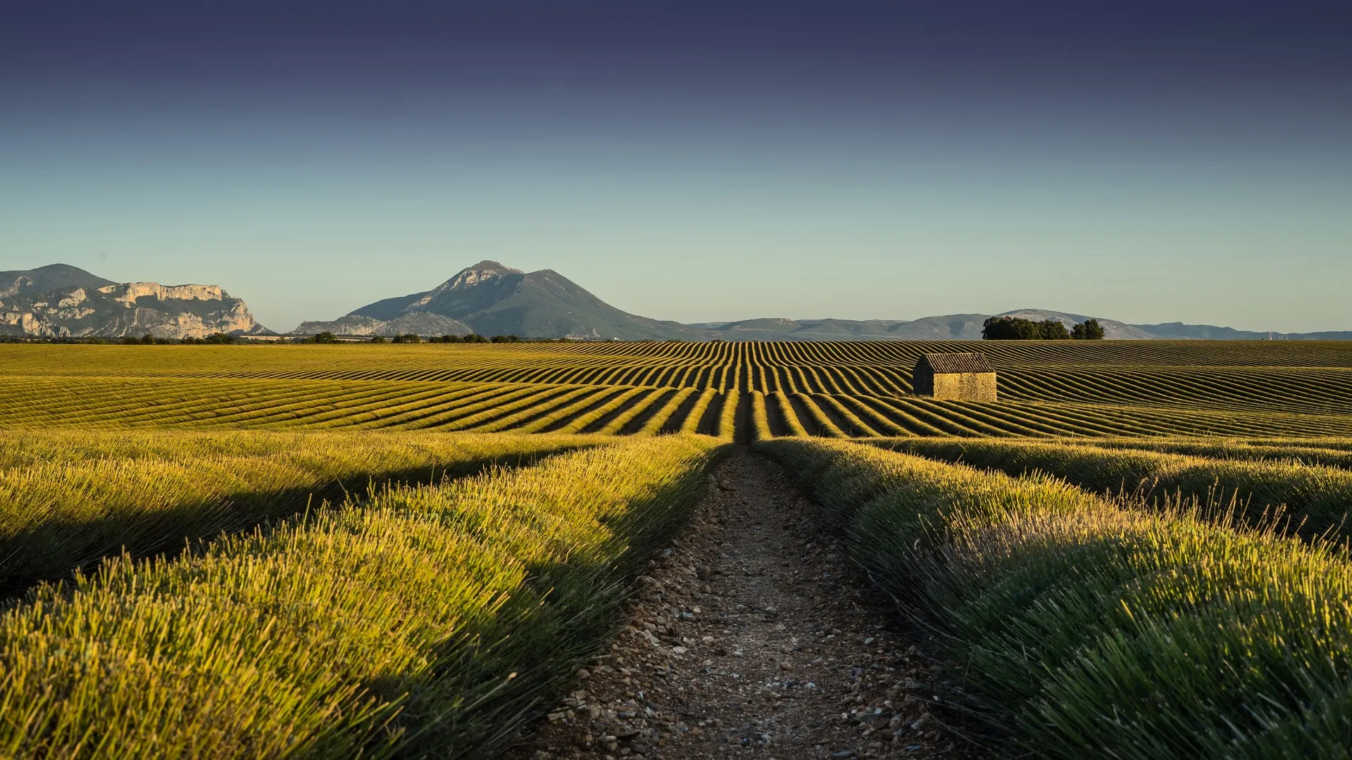 农田 建筑 山脉 自然 风景 晴朗 天空 道路 田野  电脑壁纸 4K壁纸